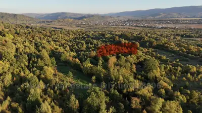 Buy a lot of land, agricultural, Verkhnee Sinovidnoe, Skolivskiy district, id 5923631