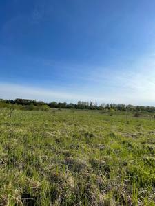 Buy a lot of land, for building, Kozhichi, Yavorivskiy district, id 4563814