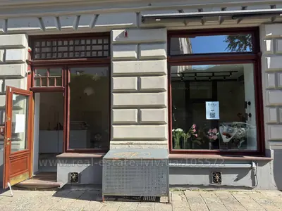 Зняти комерційну нерухомість, Житловий фонд, Грушевського М. вул., Львів, Галицький район, id 5917422