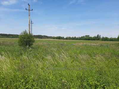 Buy a lot of land, commercial, комерція, Zhirovka, Pustomitivskiy district, id 4482643