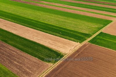 Buy a lot of land, agricultural, Центральна, Shhirec, Pustomitivskiy district, id 3363560