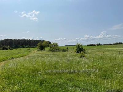 Buy a lot of land, for building, лісна, Vorociv, Yavorivskiy district, id 4525269