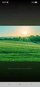 Buy a lot of land, agricultural, Gorodok, Gorodockiy district, id 5923316