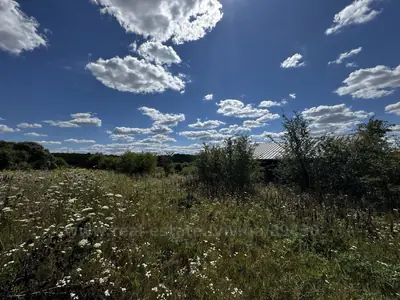 Buy a lot of land, for building, Малечковичі, Malechkovichi, Pustomitivskiy district, id 5916690