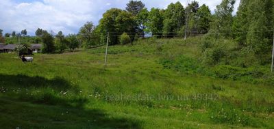 Buy a lot of land, for building, Beregi, Pustomitivskiy district, id 4474689