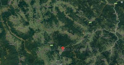 Buy a lot of land, Зелена, Tukholka, Skolivskiy district, id 4597376