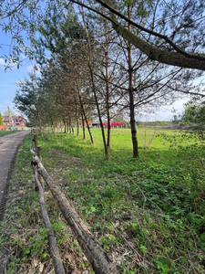 Buy a lot of land, Центральна, Birki, Yavorivskiy district, id 4497748
