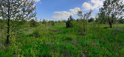 Buy a lot of land, ожб, Derevach, Pustomitivskiy district, id 4603702