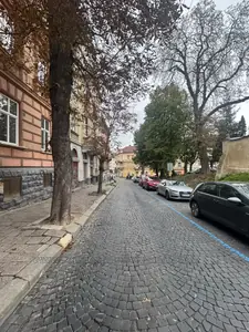 Зняти комерційну нерухомість, Драгоманова М. вул., Львів, Галицький район, id 5921532