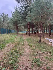 Купить участок, Козулька, Жовковский район, id 5915083
