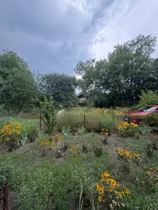 Купити квартиру, Рудне, Львівська міськрада район, id 5911937