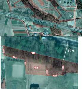 Buy a lot of land, agricultural, ОСГ, Soluki, Yavorivskiy district, id 4525522