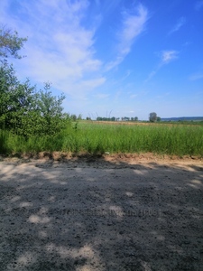 Buy a lot of land, for building, Підберезна, Brody, Brodivskiy district, id 4573648