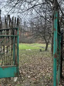 Buy a lot of land, gardening, Zubra, Pustomitivskiy district, id 5928237