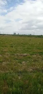 Купить участок, сельскохозяйственного, Городок, Городоцкий район, id 5918598