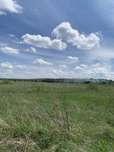 Buy a lot of land, for building, Yasniskaya, Yavorivskiy district, id 4427872
