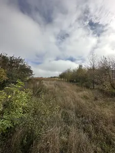 Buy a lot of land, for building, Velikie Glibovichi, Peremishlyanskiy district, id 5926991
