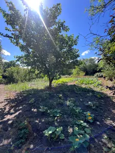 Buy a lot of land, gardening, Staryy Yarichiv, Kamyanka_Buzkiy district, id 5918148