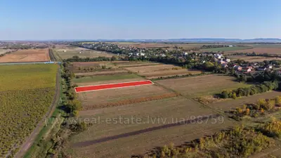 Buy a lot of land, industrial, Chishki, Pustomitivskiy district, id 5912453
