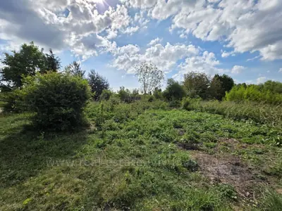 Buy a lot of land, for building, Соснова, Sukhovolya, Gorodockiy district, id 5915870