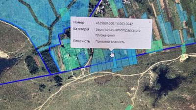 Buy a lot of land, agricultural, Шевченка, Cetulya, Yavorivskiy district, id 4437212
