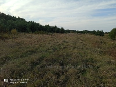Buy a lot of land, gardening, Turinka, Zhovkivskiy district, id 2301173