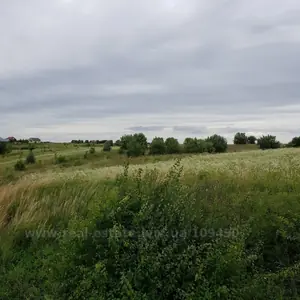Buy a lot of land, Davidiv, Pustomitivskiy district, id 5922419