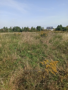 Buy a lot of land, for building, Дружби, Vorociv, Yavorivskiy district, id 4487980