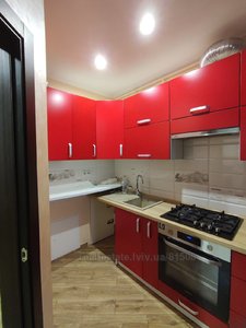Rent an apartment, Vinna-Gora-vul, Vinniki, Lvivska_miskrada district, id 4541226