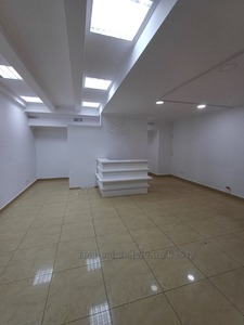 Commercial real estate for rent, Non-residential premises, Bankivska-vul, Lviv, Galickiy district, id 4474149