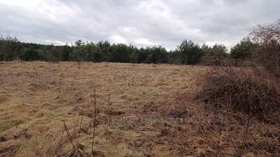 Buy a lot of land, for building, без назви, Godovica, Pustomitivskiy district, id 4470879
