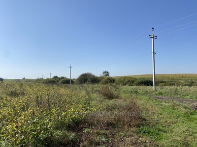 Buy a lot of land, agricultural, Kulikiv, Zhovkivskiy district, id 4126845