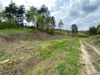 Buy a lot of land, Bryukhovichi, Lvivska_miskrada district, id 4575938
