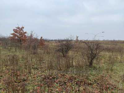 Buy a lot of land, agricultural, Drogovizh, Mikolajivskiy district, id 4472246