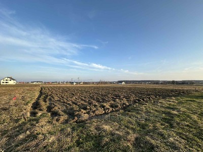Buy a lot of land, Л, Mistki, Pustomitivskiy district, id 4546653