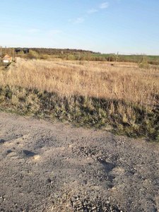 Buy a lot of land, agricultural, грушевського, Gamaleevka, Pustomitivskiy district, id 4546615