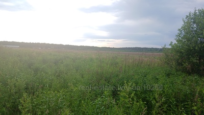 Buy a lot of land, 10 км до Львова, Bartativ, Gorodockiy district, id 4592292