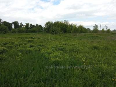Buy a lot of land, Rudne, Lvivska_miskrada district, id 4569647