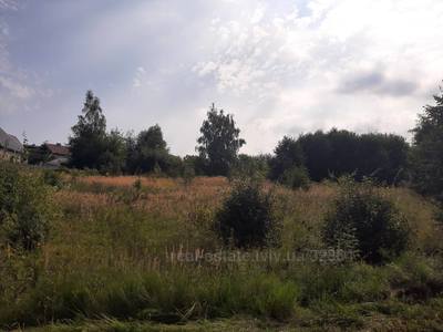 Buy a lot of land, for building, гірка, Basovka, Pustomitivskiy district, id 4562334