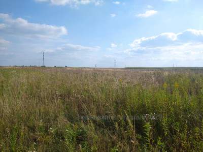 Buy a lot of land, for building, Відродження, Mistki, Pustomitivskiy district, id 4513657