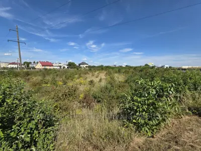 Buy a lot of land, agricultural, Львівська, Gorodok, Gorodockiy district, id 5923568