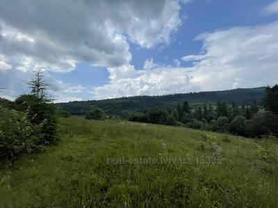 Buy a lot of land, agricultural, Устеяновича, Slavsko, Skolivskiy district, id 4522339