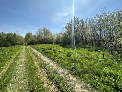 Buy a lot of land, for building, Volodymyra Ivasiuka, Sknilov, Pustomitivskiy district, id 3870133