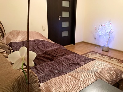 Vacation apartment, Pancha-P-vul, Lviv, Shevchenkivskiy district, 1 room, 850 uah/day