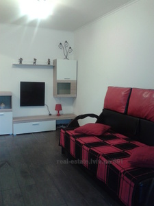 Vacation apartment, Knyagini-Olgi-vul, Lviv, Frankivskiy district, 1 room, 700 uah/day