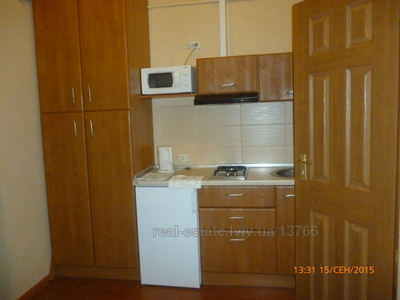 Vacation apartment, Levickogo-K-vul, 45, Lviv, Lichakivskiy district, 1 room, 650 uah/day